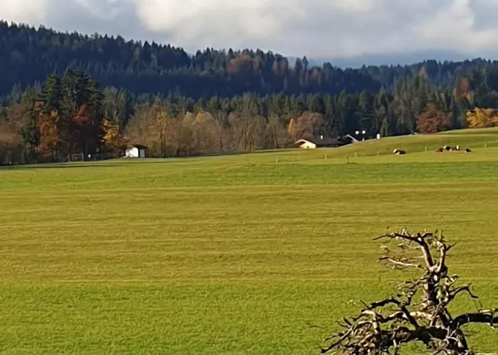 Huttenberg 아파트 *
